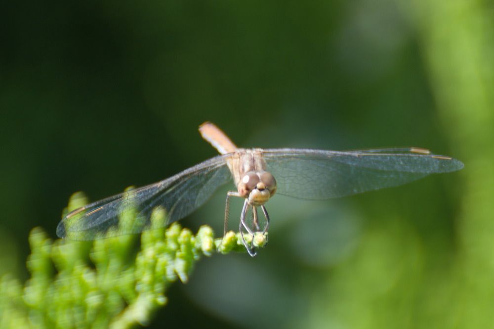 Photograph by Башлаев Константин