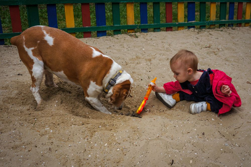 Photograph by Дарья Погонцева