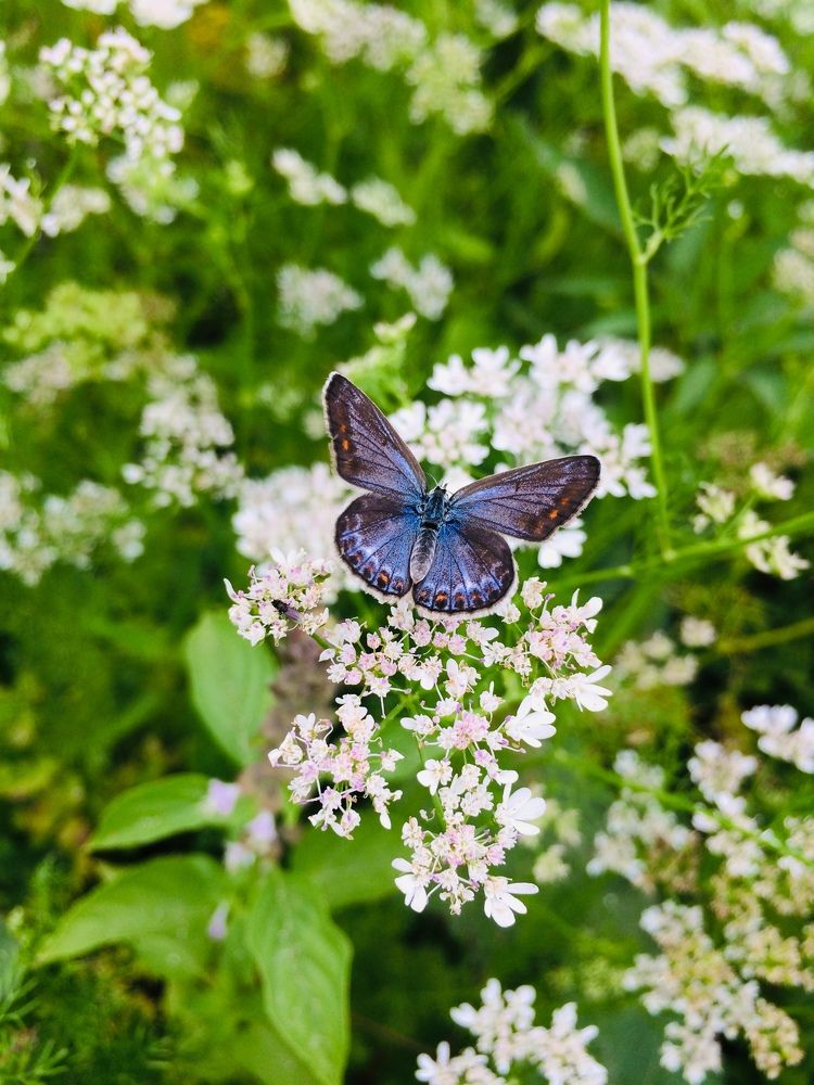 Photograph by hanie rashidi