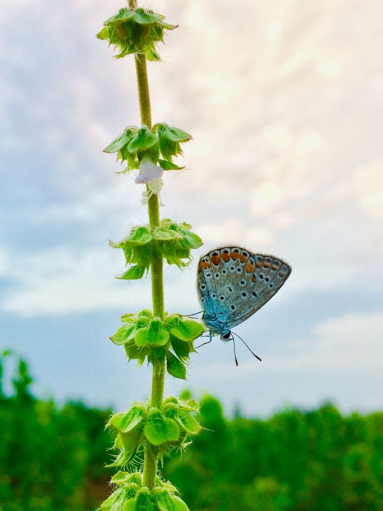 Photograph by hanie rashidi