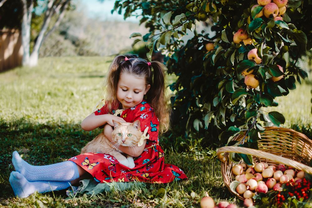 Photograph by Людмила Зяблова