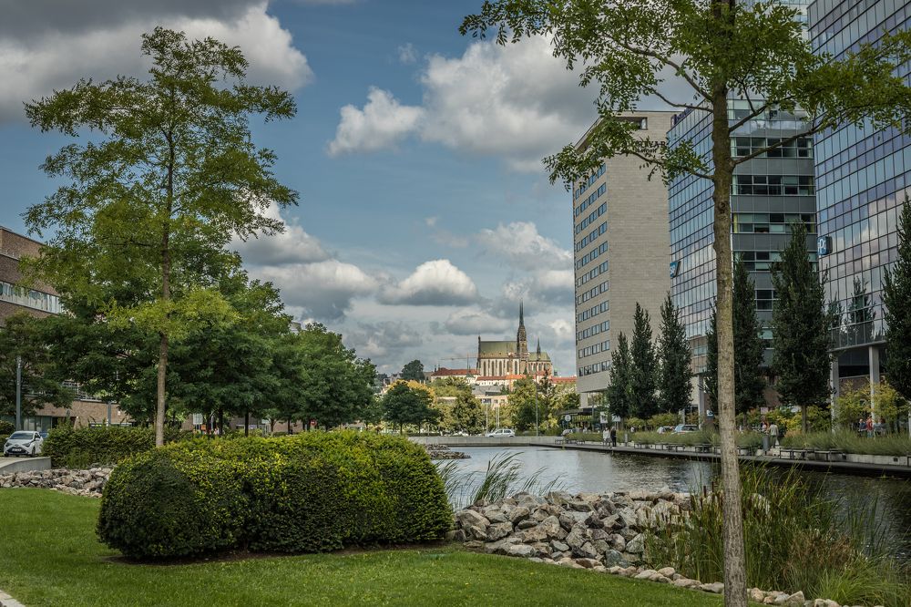 Photograph by Anastasiia Sierik