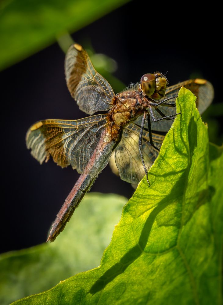 Photograph by Марина Новожилова