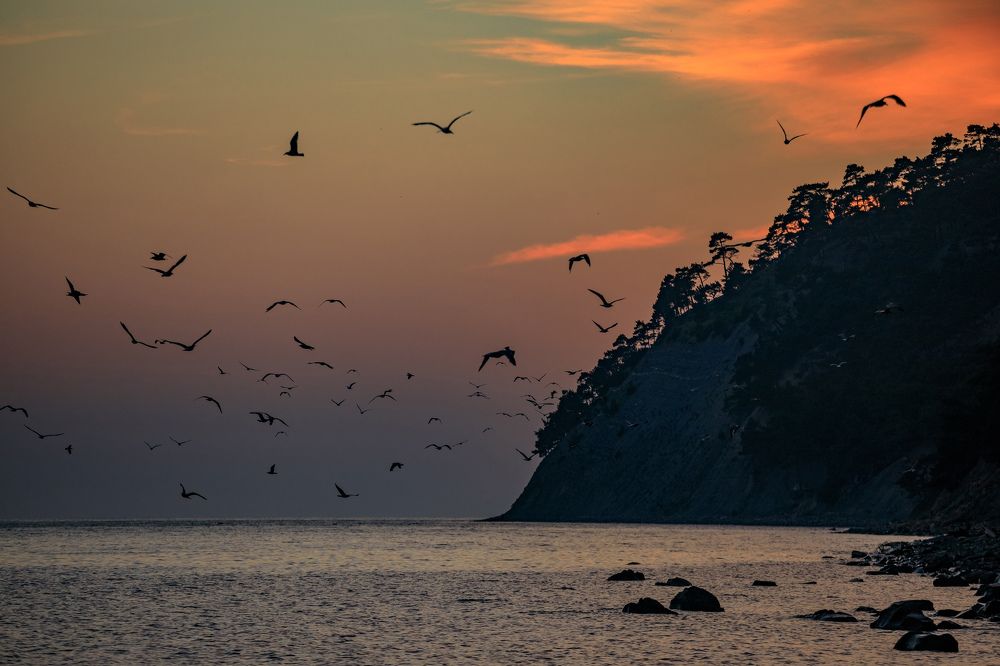 Photograph by SIARHEI RABCHONAK