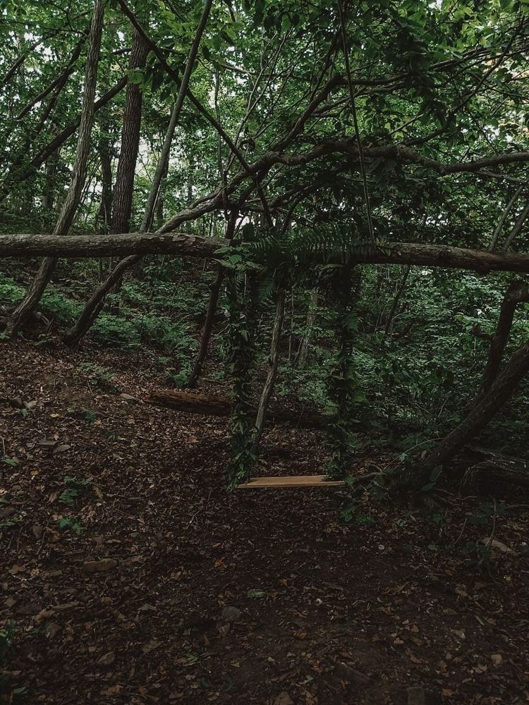 Photograph by Дарья