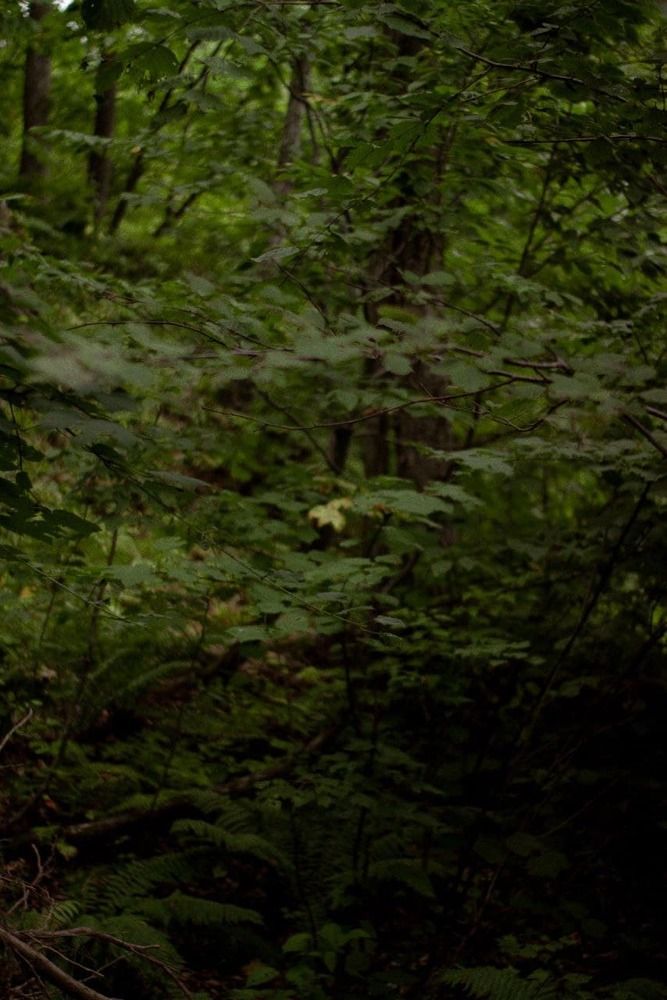 Photograph by Дарья