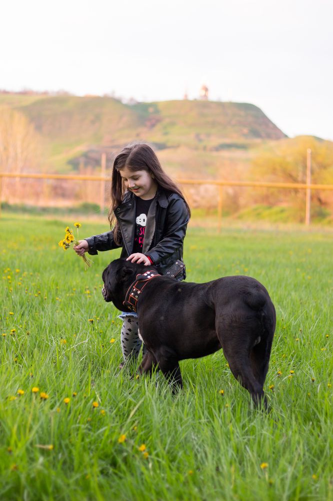Photograph by Анастасия Худошина