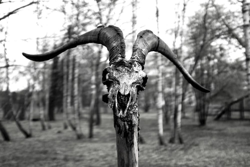 Photograph by Sergei Zdoronkov