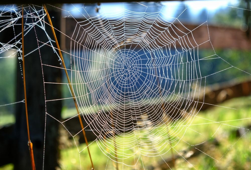 Photograph by Лена Силайчева