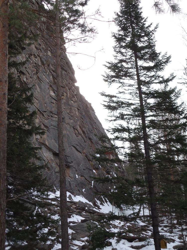Photo #6478998