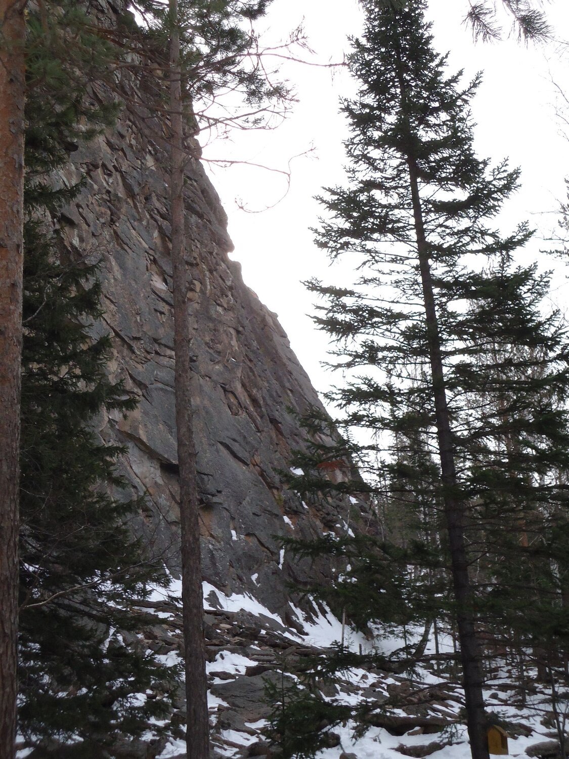 Photo #6478998