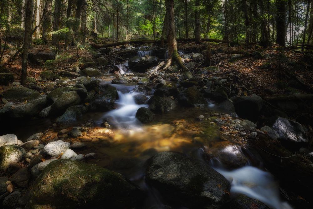 Photograph by ОЛЬГА КОВАЛЁВА