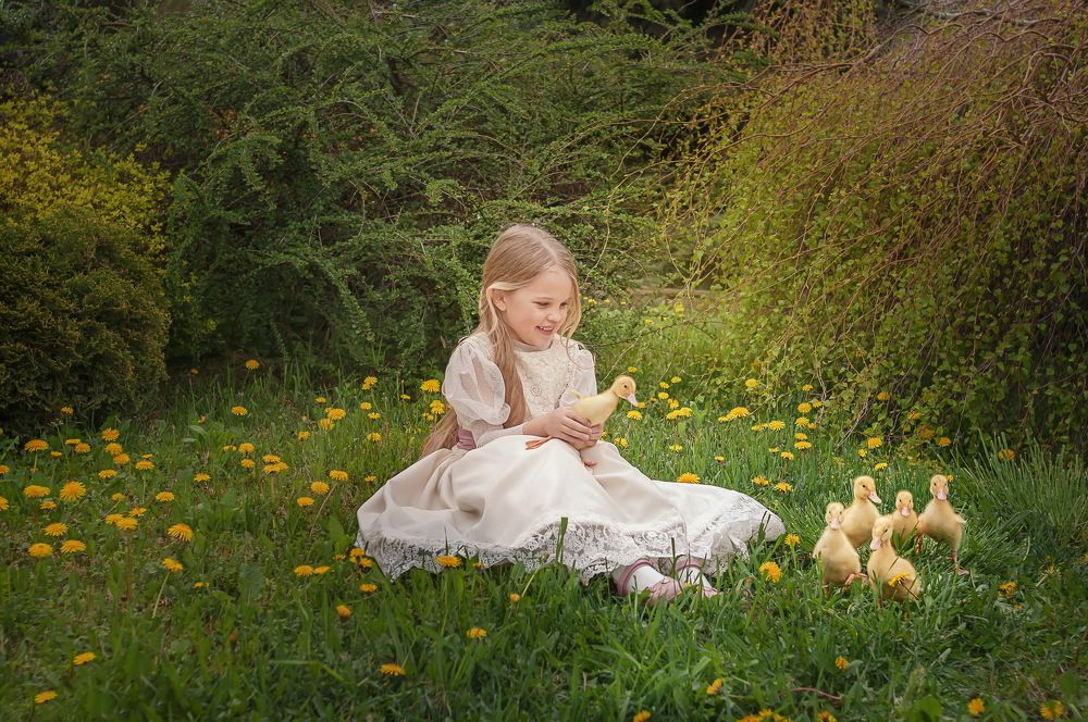 Веселые утята.