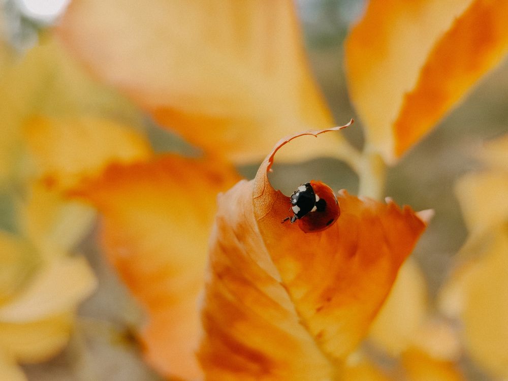 Photograph by Екатерина Васильева
