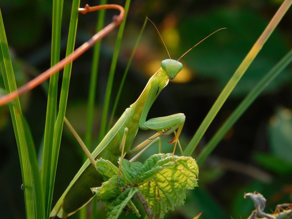 Photograph by Андрей Семенченко