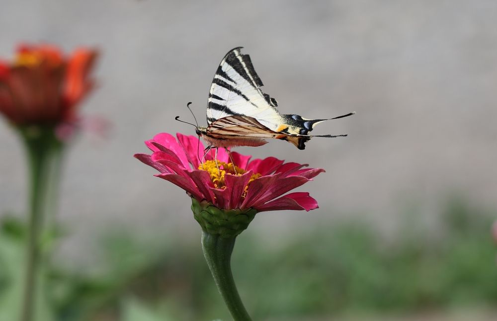 Photograph by Александр Николаев