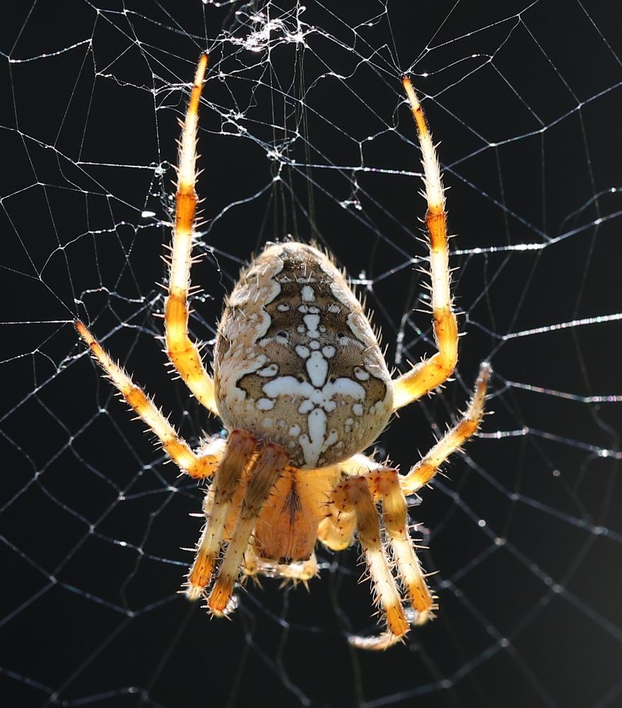 Photograph by Александр Николаев