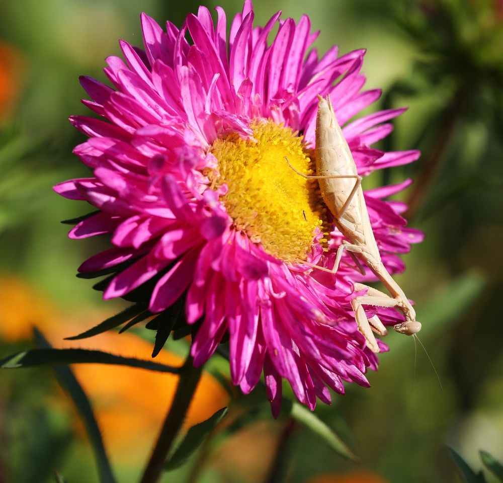 Photograph by Александр Николаев