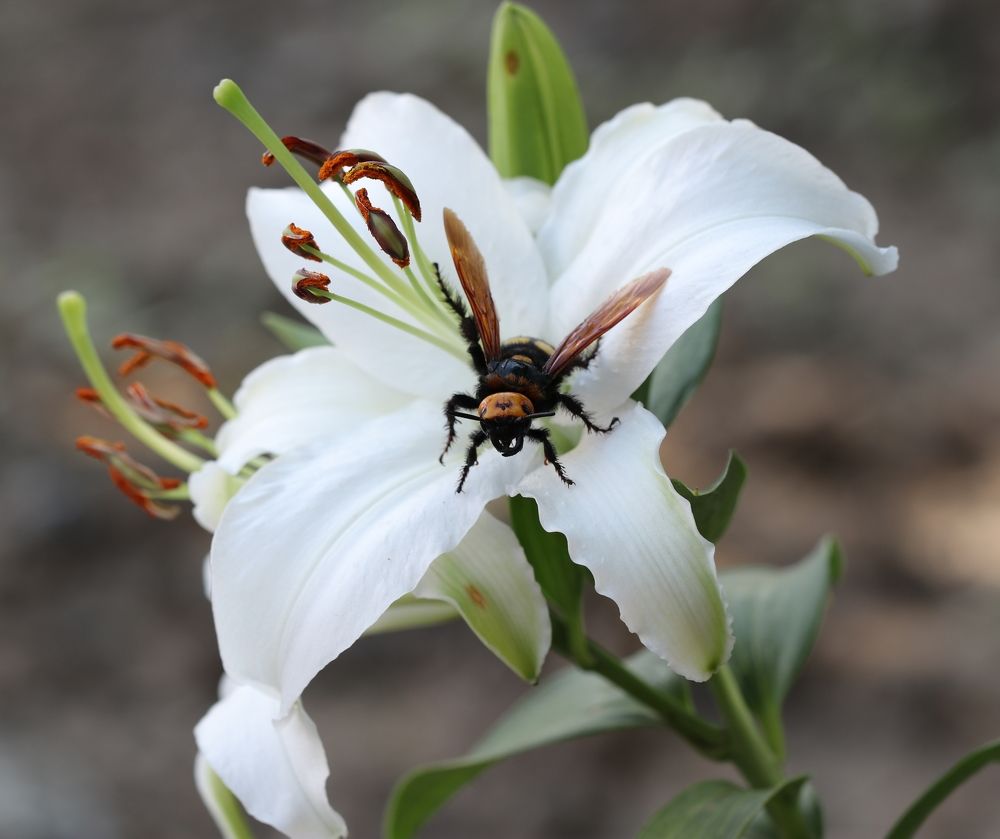 Photograph by Александр Николаев