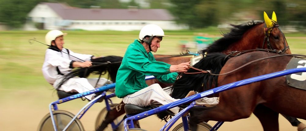 Photograph by Галина Щурова