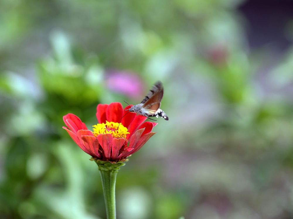 Photograph by Александр Николаев