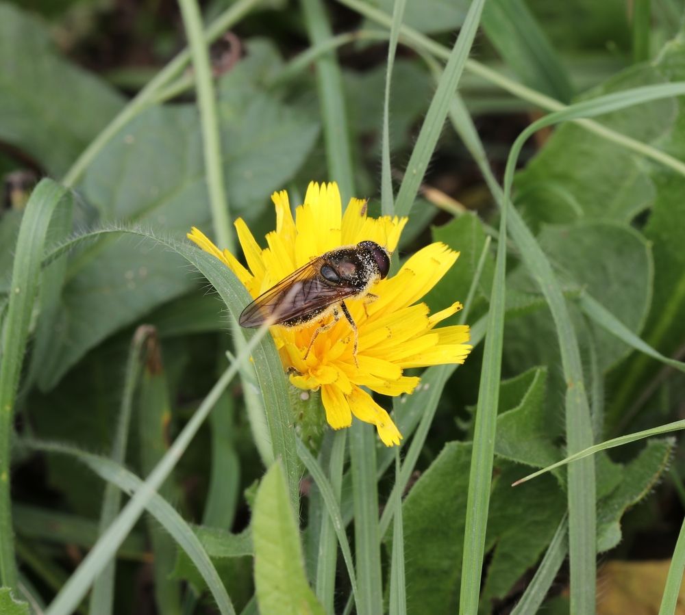 Photograph by Александр Николаев