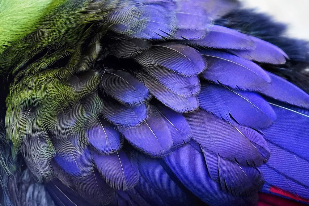 Photograph by 