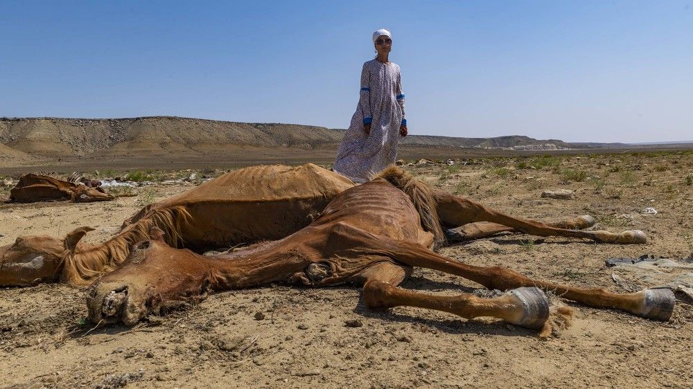 Photograph by Алимжан Барангулов