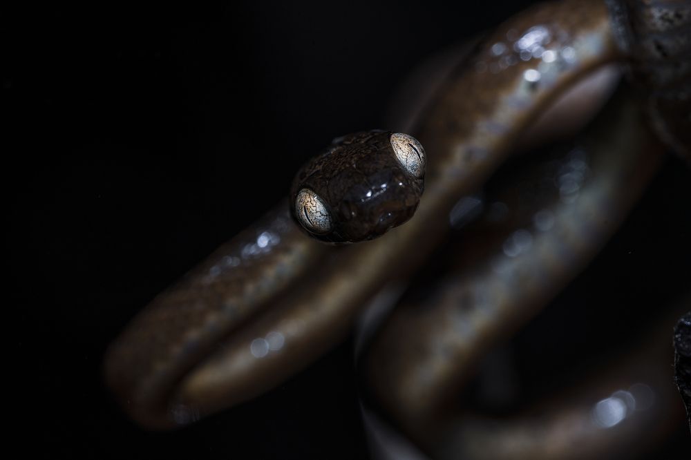 Photograph by Dnyaneshwar Vaidya