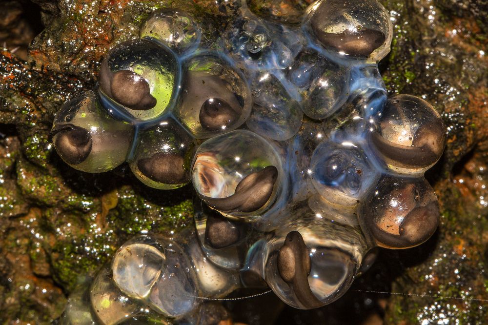 Photograph by Dnyaneshwar Vaidya