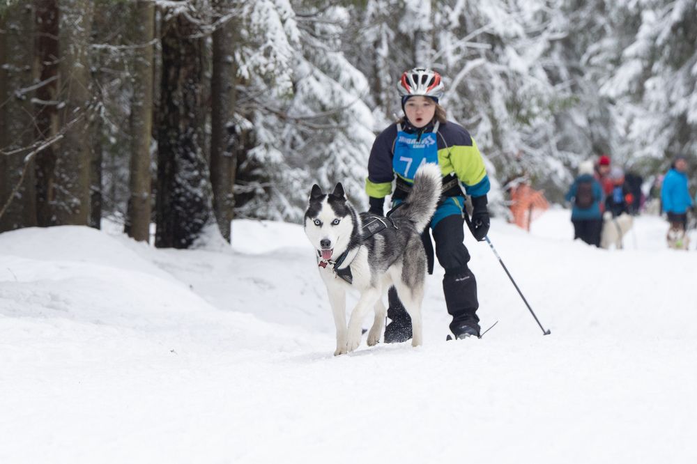 Photograph by Илья Юфа