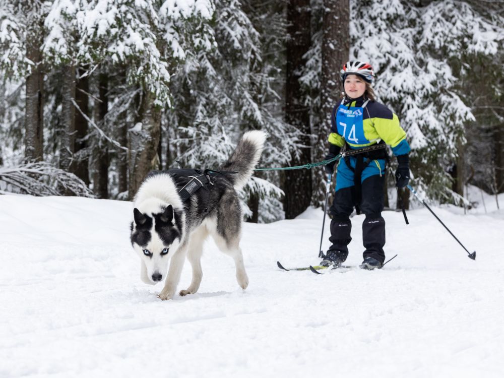 Photograph by Илья Юфа