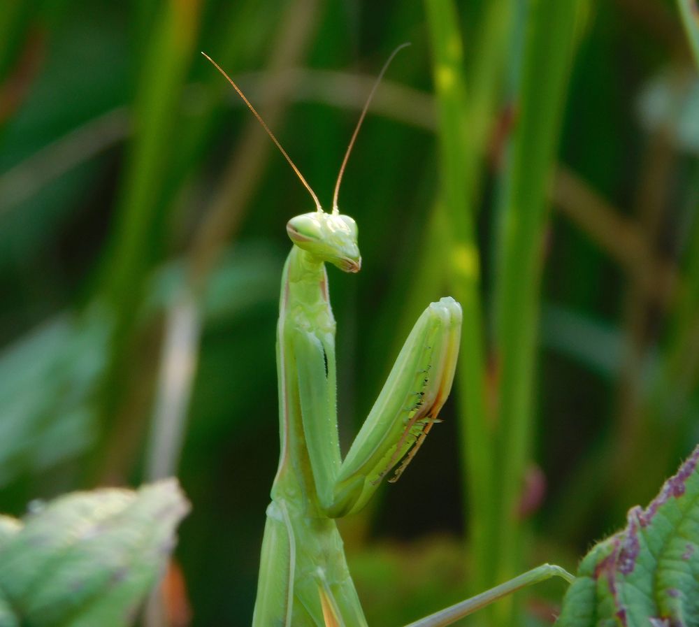 Photograph by Андрей Семенченко