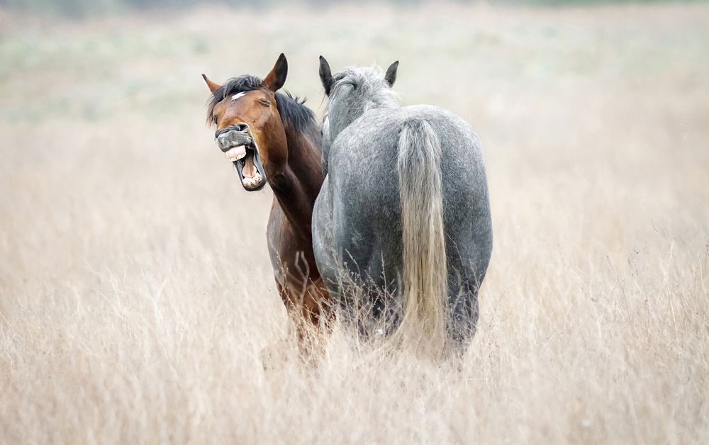 You must be kidding me!