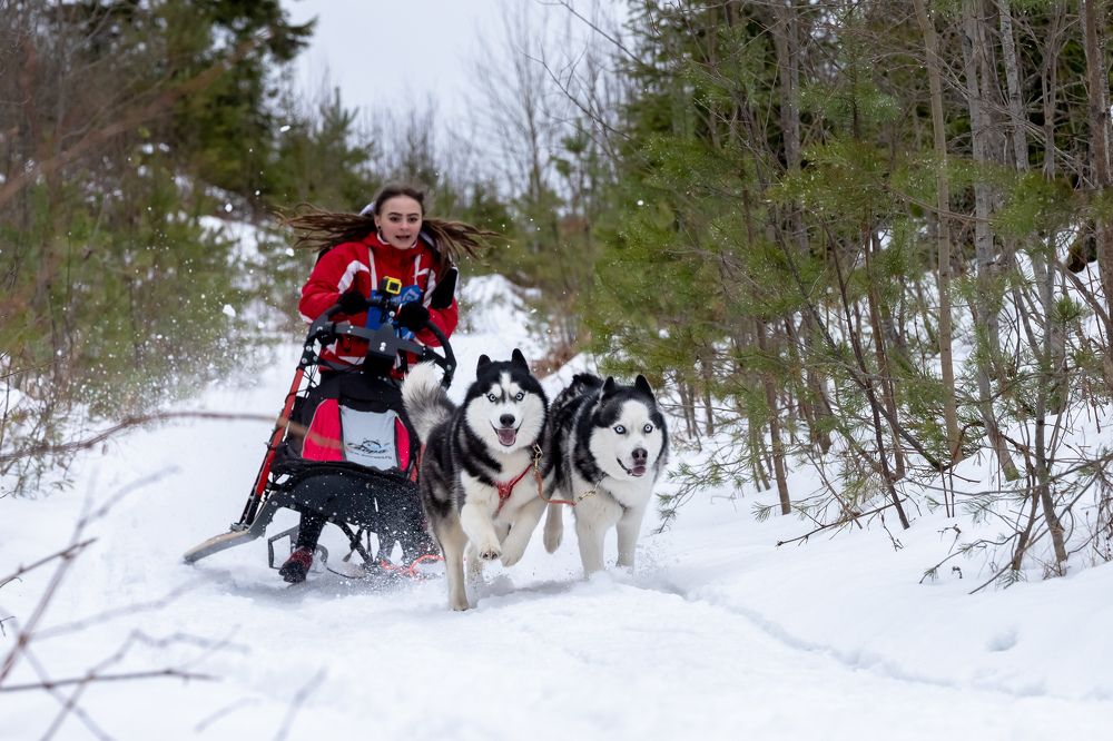 Photograph by Илья Юфа