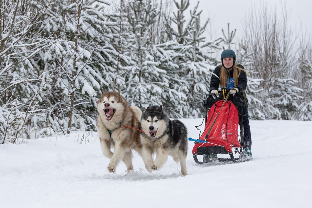 Photograph by Илья Юфа