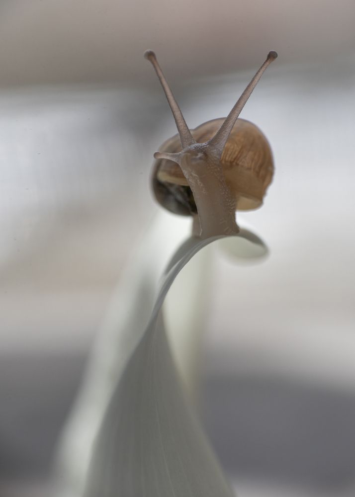 Photograph by Aлена Плясова