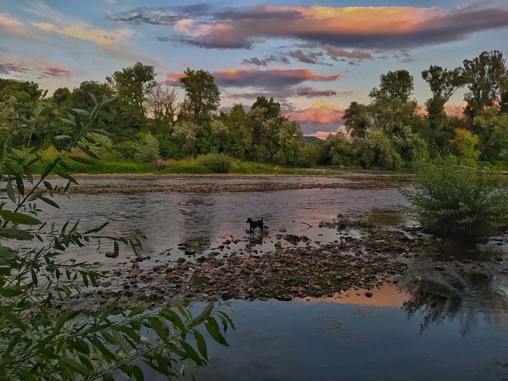 Photograph by Dragoslav Macanovic