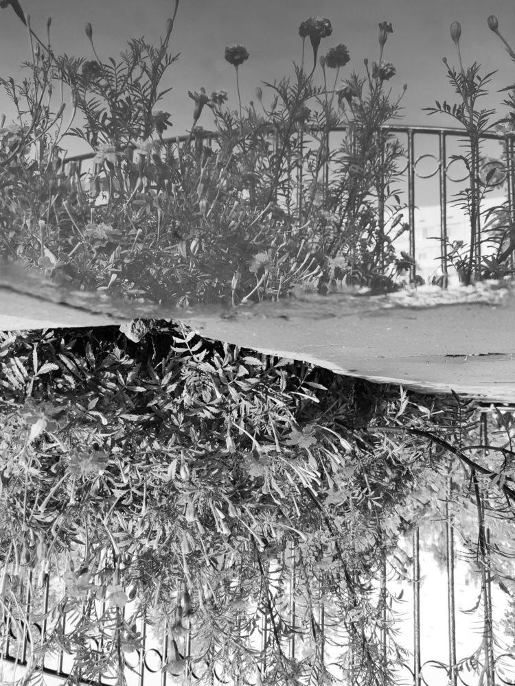 Photograph by Ирина Ященко