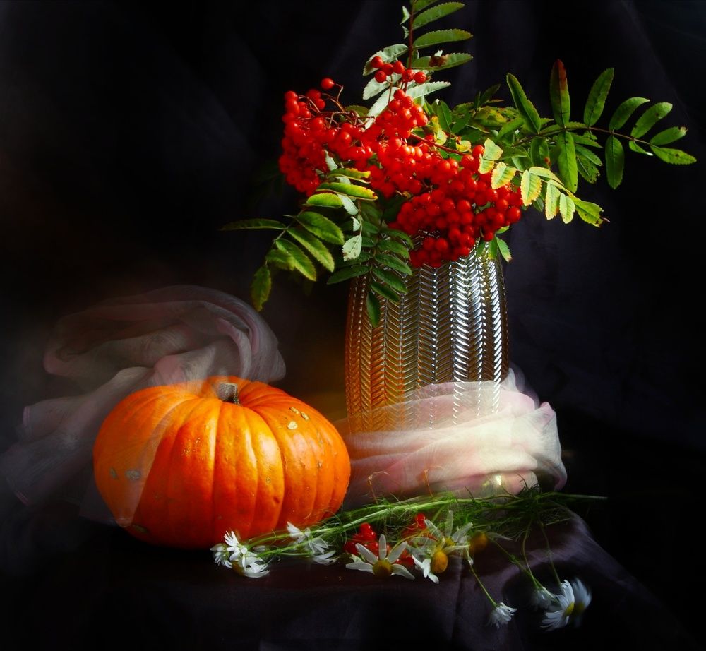 Photograph by Olga Asson