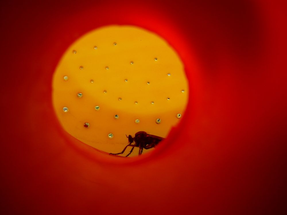 Photograph by Венера Галимова