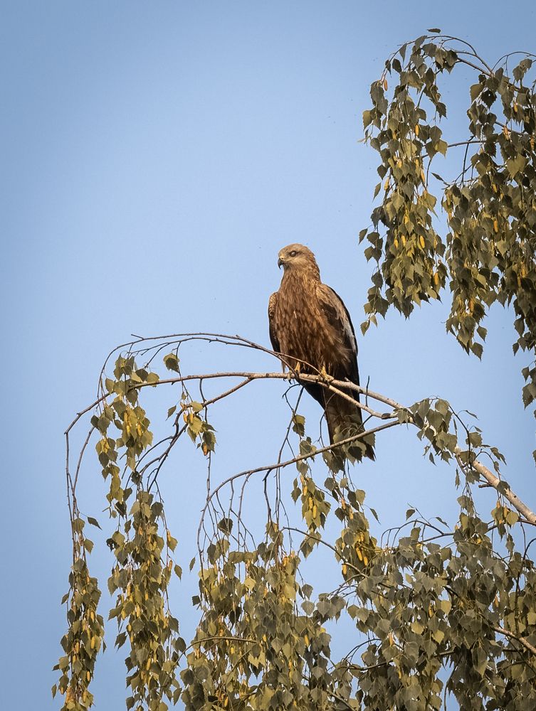 Photograph by Татьяна Тихомирова