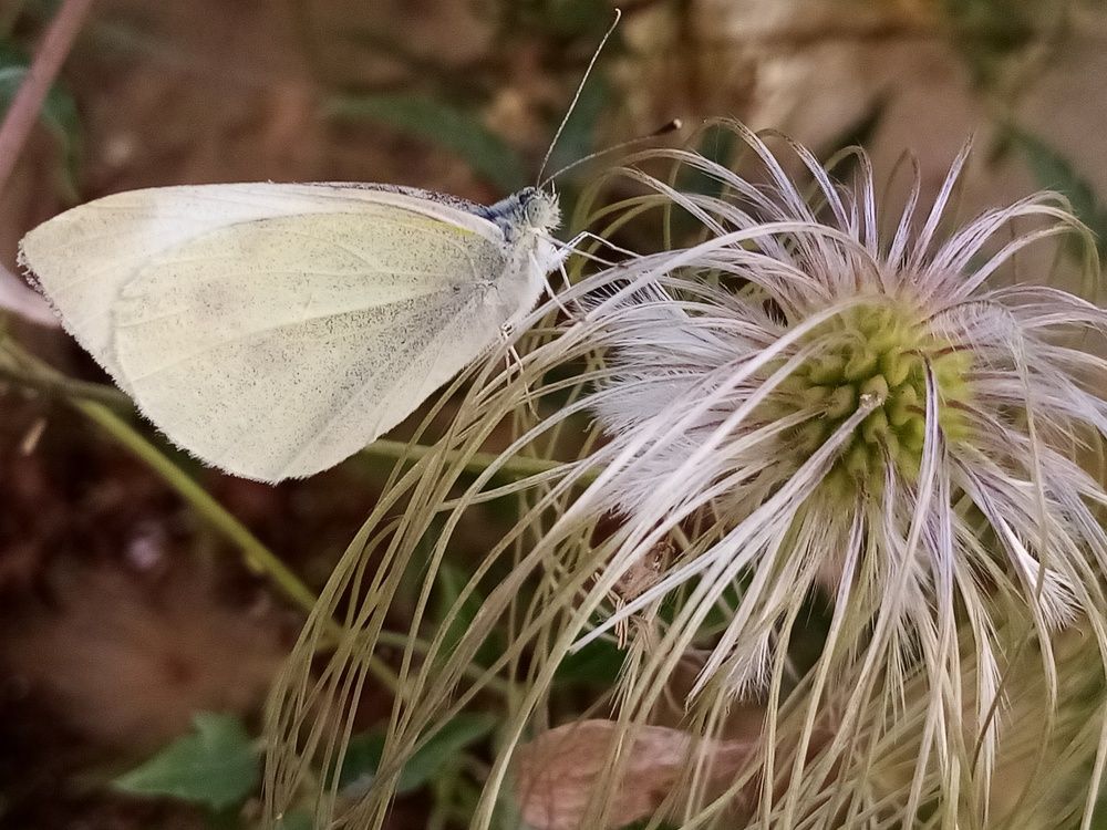 Photograph by Венера Галимова