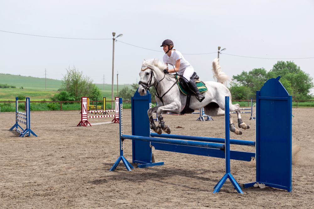 Show jumping competition