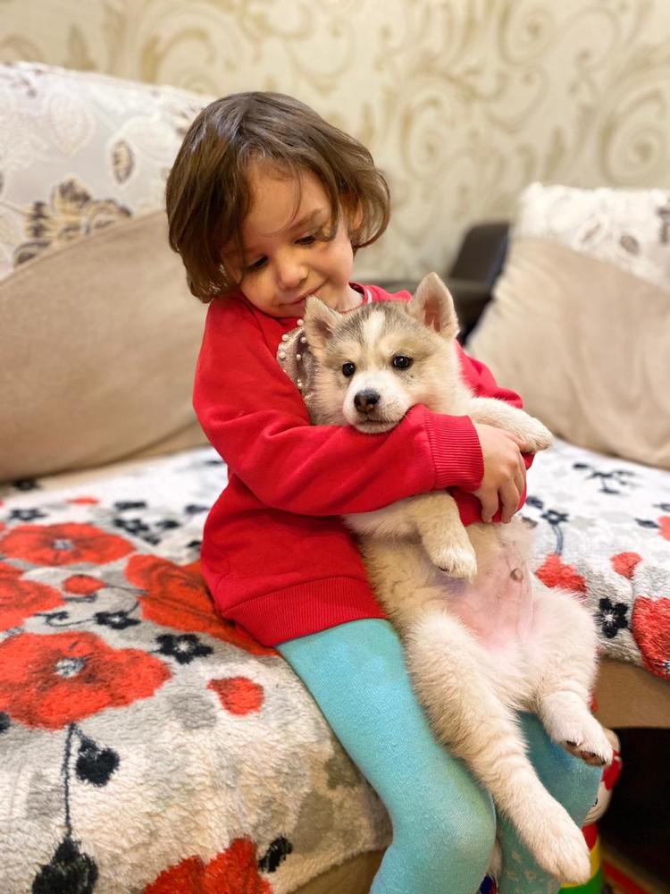 Фотография автора Елена Зверева