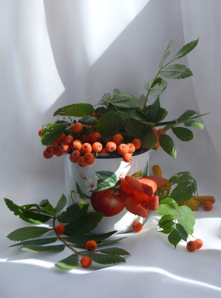 Фотография автора Евгения Илина