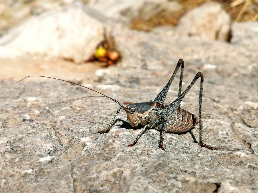 Photograph by Hossein Azizian