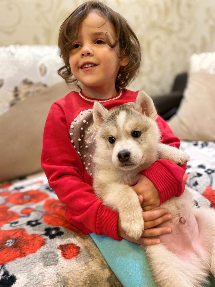 Ох уж эти детки