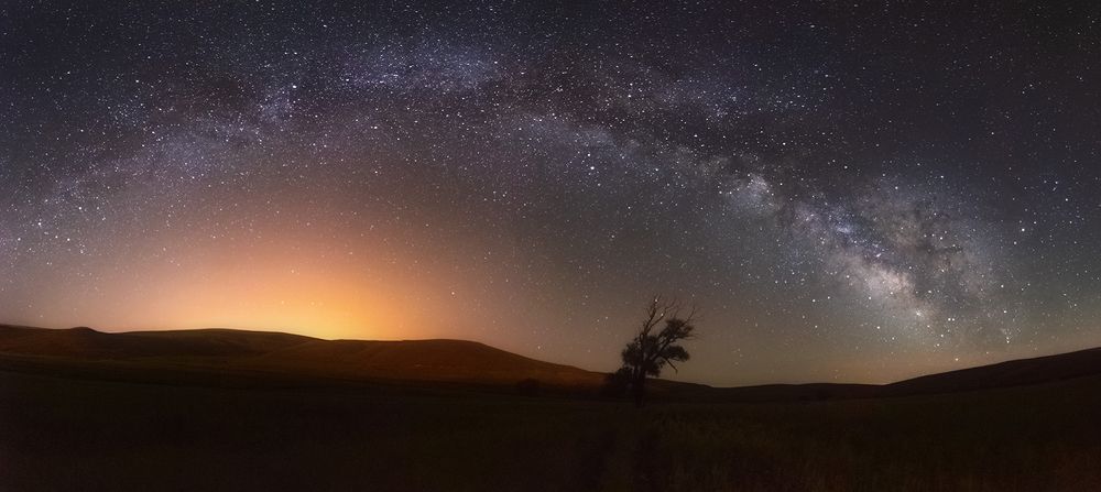 Photograph by Amir Ramezani