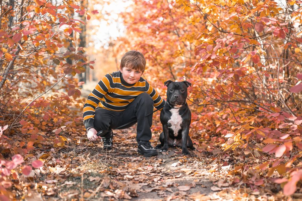 Photograph by Галина Ледок